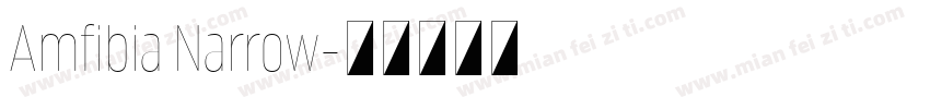 Amfibia Narrow字体转换